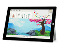 兰坪Surface 无法开启、Windows 无法启动或电池无法充电